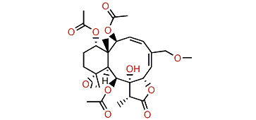 Junceellolide O